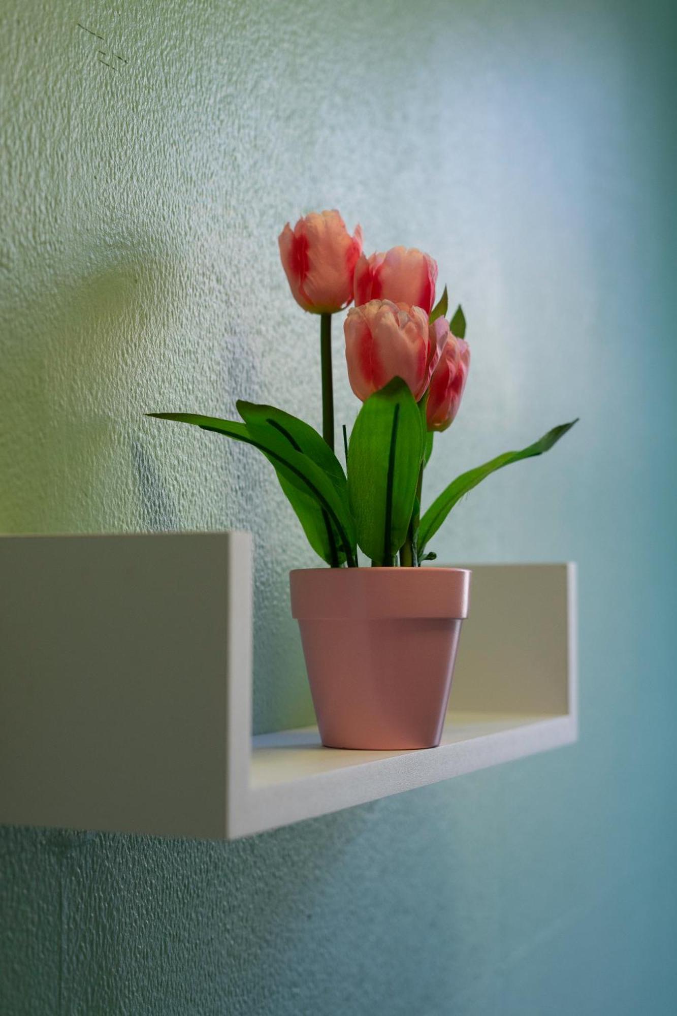 The Eden Apartment, Edinburgh City Center Ngoại thất bức ảnh